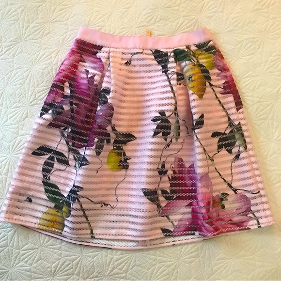 Ted Baker London Dresses & Skirts - Ted Baker London Pink Floral A-Line Skirt